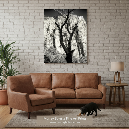 A sepia canvas wall art print of a tree in front of a rocky cliff, displayed on a white brick wall above a brown leather sofa in a styled living room setting. By Murray Bolesta!