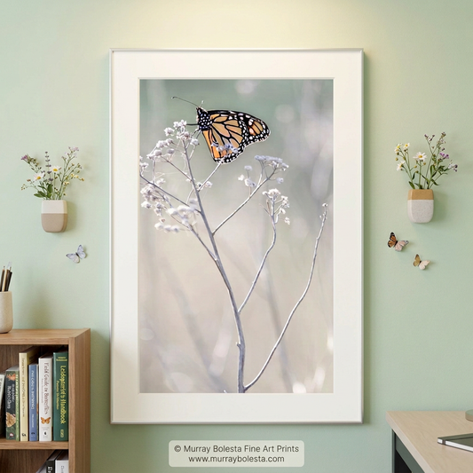 Monarch butterfly artwork by Murray Bolesta!