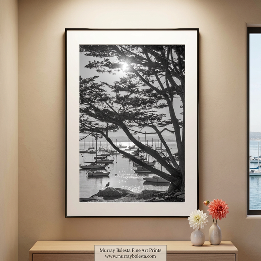Monterey Bay fine art print in black & white by Murray Bolesta!