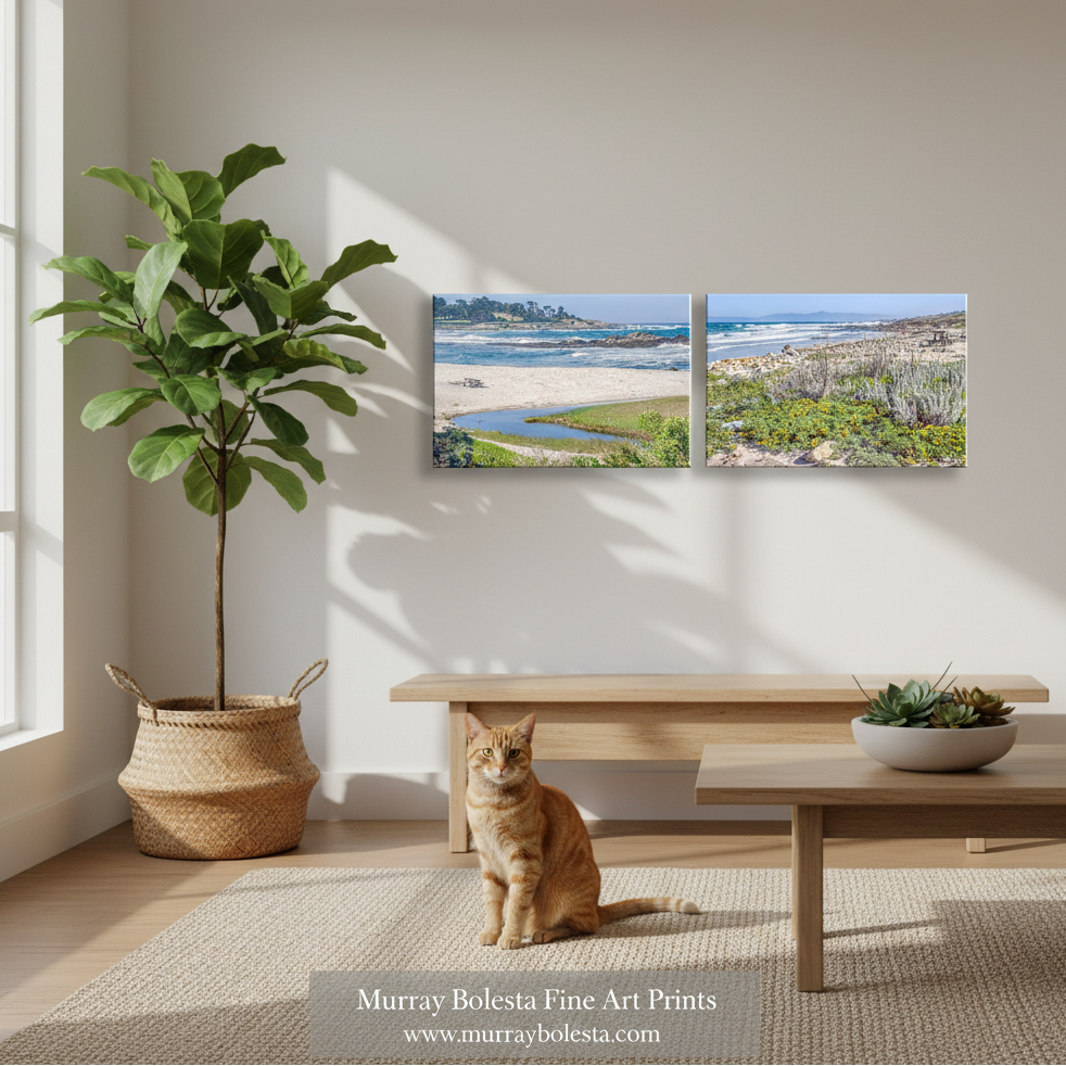 Monterey Peninsula! A two-panel framed wall art print showing a coastal landscape with sand, water, and vegetation, displayed above a wooden bench in a bright room with a cat sitting on the floor. The print is by Murray Boleta Fine Art Prints, as shown in the watermark at the bottom.