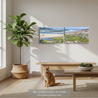 Monterey Peninsula! A two-panel framed wall art print showing a coastal landscape with sand, water, and vegetation, displayed above a wooden bench in a bright room with a cat sitting on the floor. The print is by Murray Boleta Fine Art Prints, as shown in the watermark at the bottom.