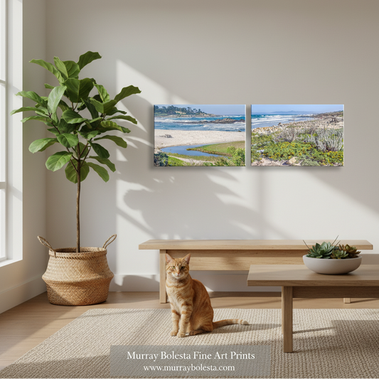 Monterey Peninsula! A two-panel framed wall art print showing a coastal landscape with sand, water, and vegetation, displayed above a wooden bench in a bright room with a cat sitting on the floor. The print is by Murray Boleta Fine Art Prints, as shown in the watermark at the bottom.