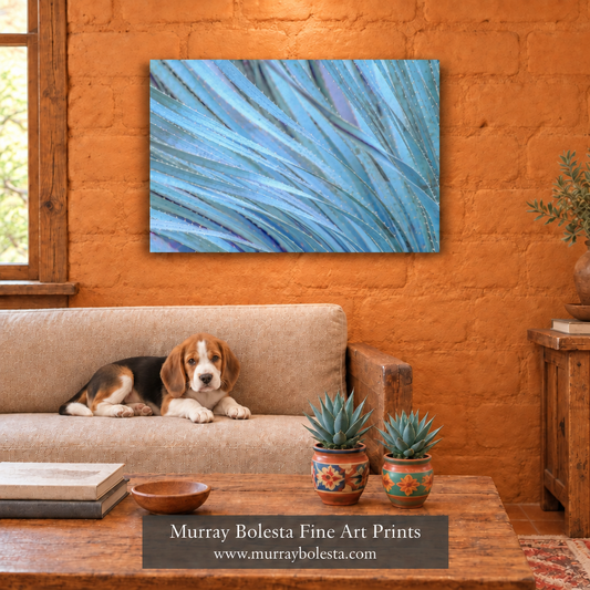 Brighter warm-orange adobe room with blue-green agaves and a beagle by Murray Bolesta puppy