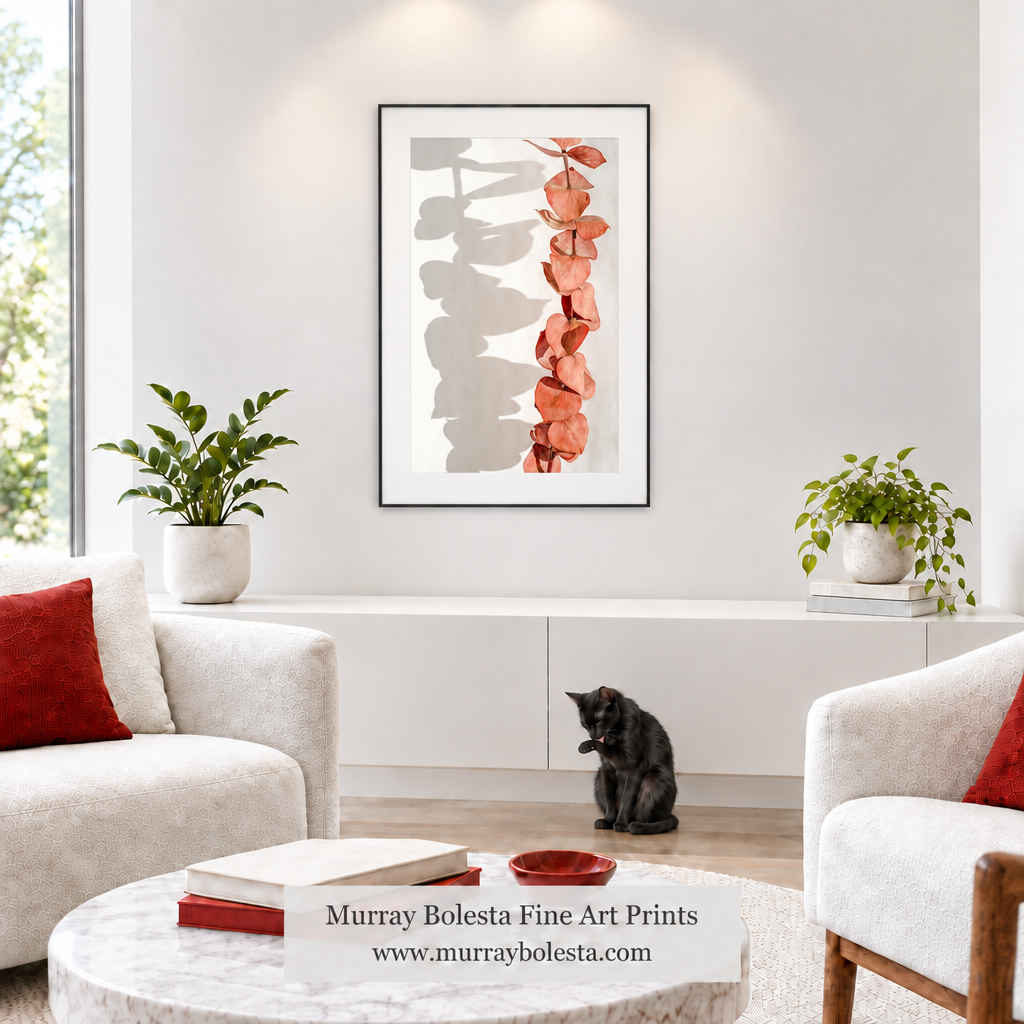 Minimalist white living room with broader-matted black framed artwork by Murray Bolesta botanical
