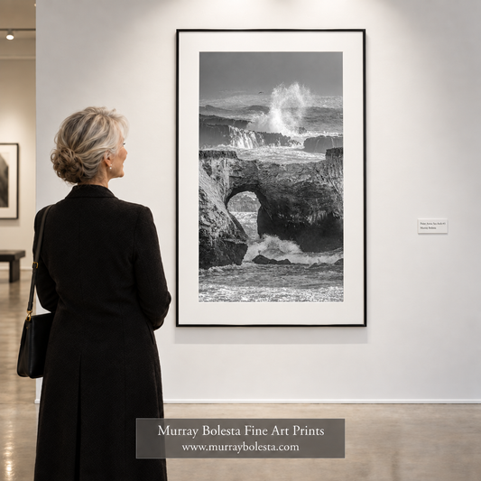 Gallery mockup with wall label reading Point Arena Sea Arch number 3 by Murray Bolesta