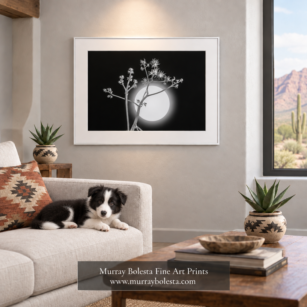 Southwest living-room artwork mockup with a lounging border collie puppy by Murray Bolesta Agave Moon