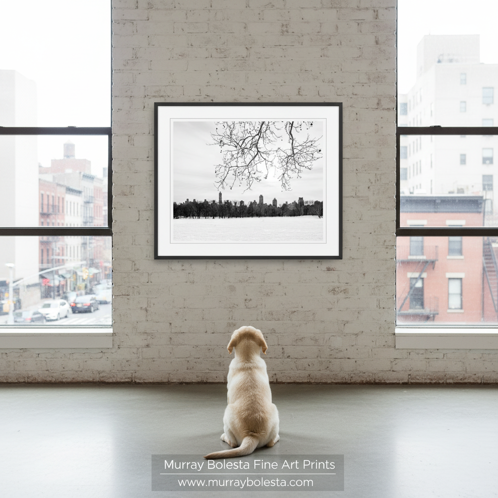 Central Park New York winter by Murray Bolesta! A framed black and white fine art print of a city skyline under bare tree branches hangs on a light brick wall, viewed from below by a light-colored puppy sitting on a concrete floor. Two large windows with city street views flank the wall