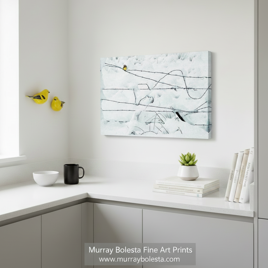 A small yellow bird perched on a wire fence covered in snow. Winter Bird on a Wire Fence Fine Art Nature Print by Murray Bolesta at Modoc County California