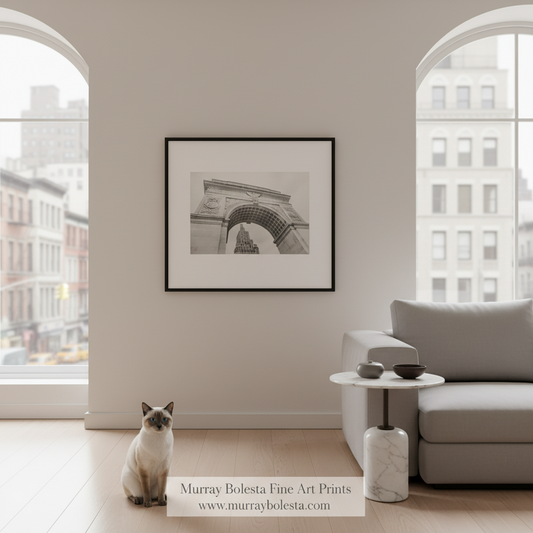 A framed black and white fine art print of the Washington Square Arch hanging on a light beige wall in a modern living room setting with a cat on the floor and a sofa.