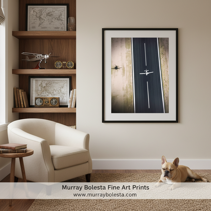 Aerial Airplane Art Print | Aviation Decor Pilot Gift
