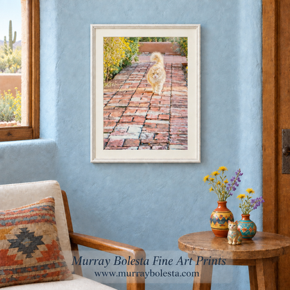 Orange Cat art print on a Tucson Barrio street, by Murray Bolesta!