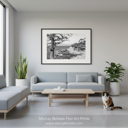 17 Mile Drive Monterey Peninsula. A framed black and white landscape art print by Murray Bolesta hangs on a light gray wall above a modern light blue sofa in a bright, minimalist living room. A cat sits on the floor to the right, and potted plants are visible on both sides.