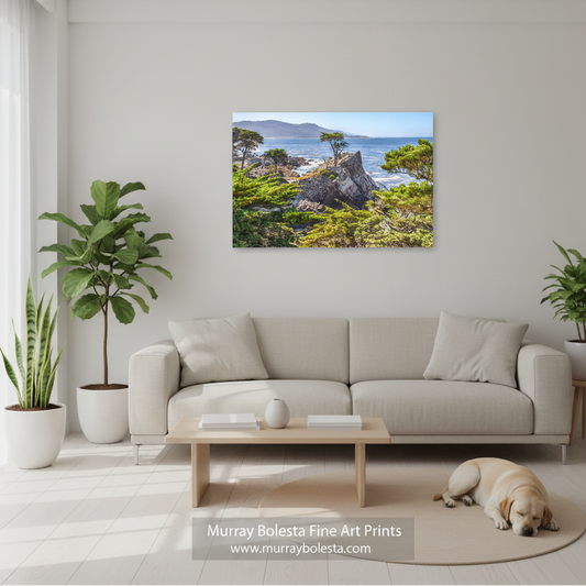 Pebble Beach California by Murray Bolesta. A framed wall art print showing a rocky coastal landscape with green trees and blue water, displayed above a light beige sofa in a bright living room. A dog lies on the floor nearby, and plants are visible around the room.