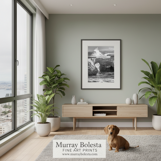 A framed black and white fine art print of a coastal rock formation hangs on a sage green wall in a modern living room. A small brown dachshund sits on a light gray rug in front of a light wood console table, with potted plants and a large window in the background.