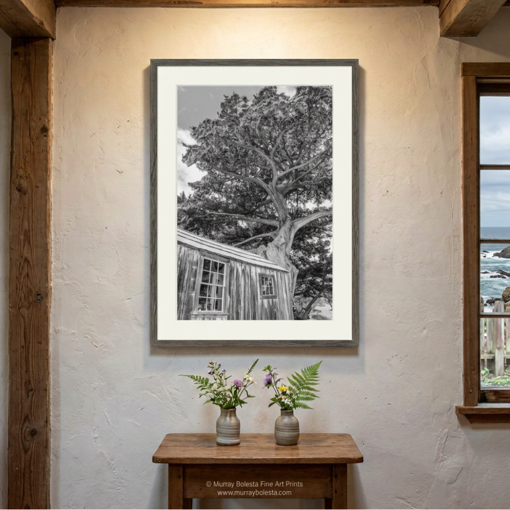 Point Lobos artwork at Whaler's Cabin in black and white by Murray Bolesta