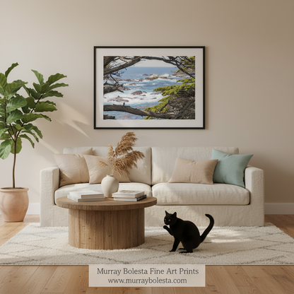 Point Lobos Art Print with Monterey Cypress Trees - Carmel CA