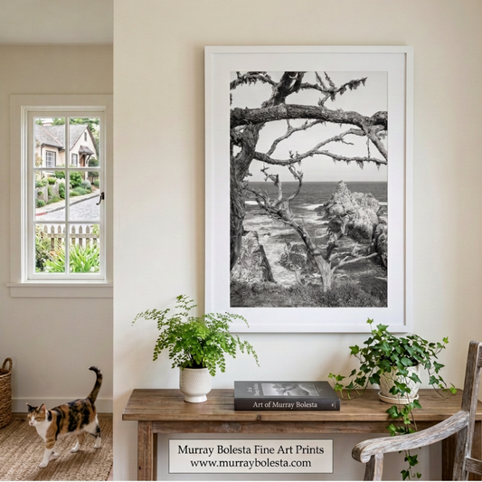 Point Lobos Preserve Carmel California seascape art print in black & white by Murray Bolesta