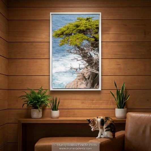 Point Lobos California art print by Murray Bolesta.