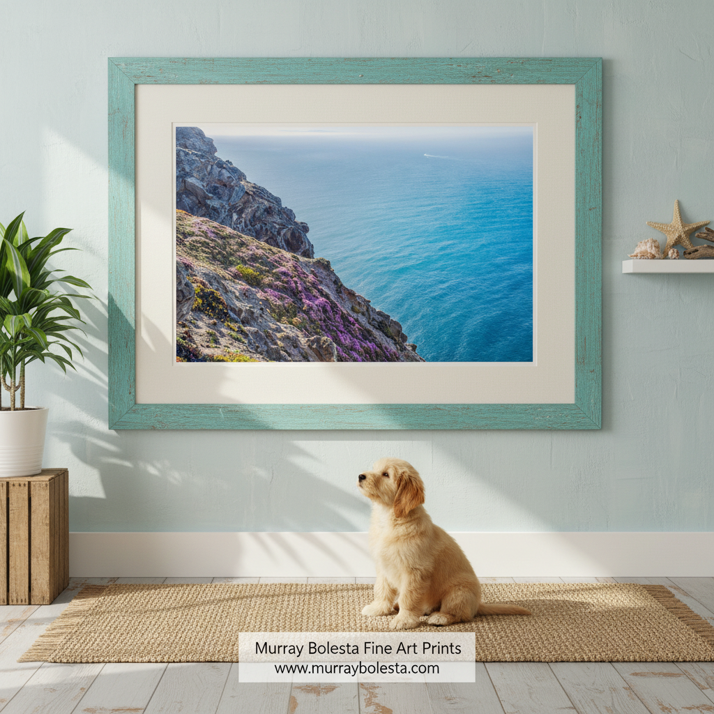 a rocky cliff overlooking a vast, blue ocean. Point Reyes Wildflowers Coast Art | Marin County California Print by Murray Bolesta!