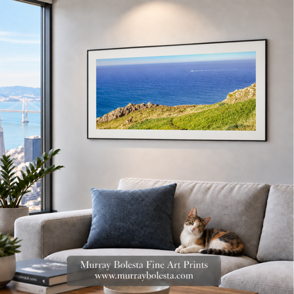 Point Reyes wildlife panorama by Murray Bolesta