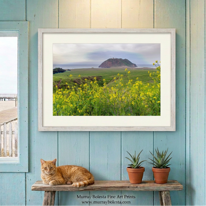 Point Sur Lighthouse Big Sur California Coast artwork by Murray Bolesta!