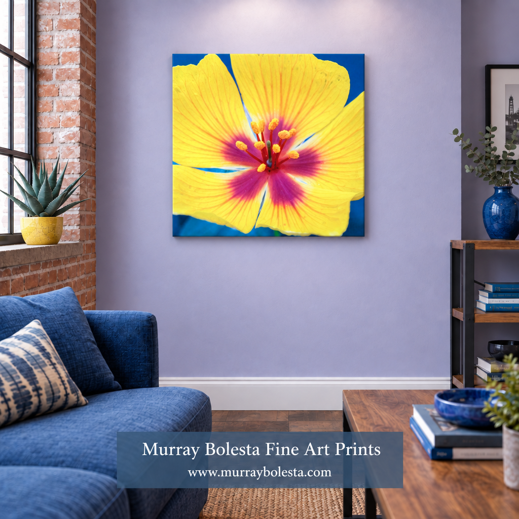 A square canvas wall art print featuring a close-up of a bright yellow hibiscus flower with a magenta and orange center on a blue background, displayed in a modern living room setting above a blue sofa. A watermark at the bottom reads 'Murray Bolesta Fine Art Prints'.