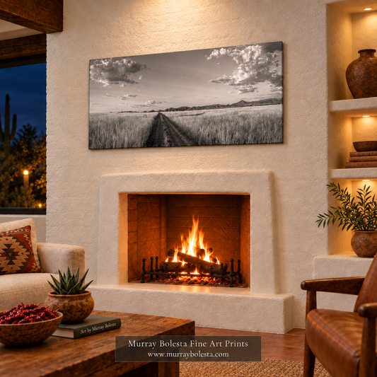 Prairie Ranch artwork murray bolesta san rafael valley arizona