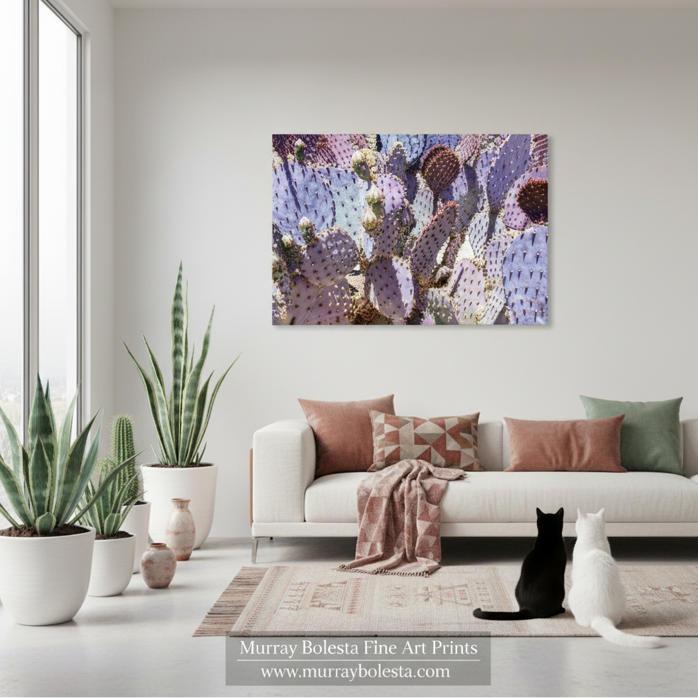 Blue prickly pear cactus by Murray Bolesta! A framed wall art print depicting purple and lavender prickly pear cacti is displayed on a light gray wall above a modern white sofa in a styled living room. Two cats are sitting on the floor in front of the couch, and several potted cacti and plants are arranged on the left side of the room.