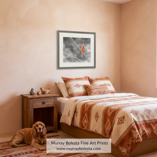 Cardinal on Ocotillo Art Print | Sabino Canyon Tucson Arizona