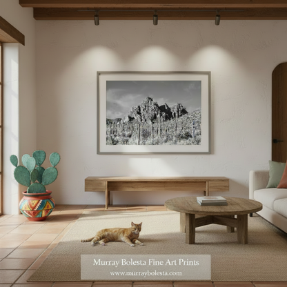 A black and white framed art print of a desert mountain landscape with saguaro cacti, displayed on a textured white wall in a modern, warm-toned living room with a cat on the rug below.