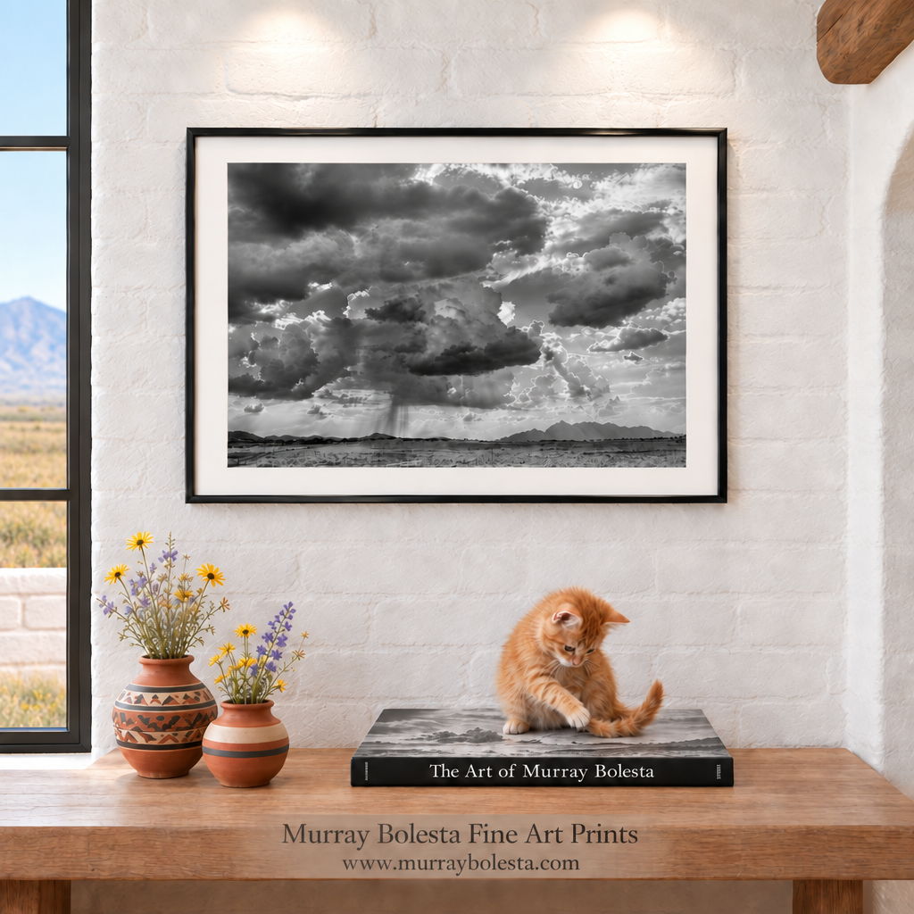 Elgin Arizona ranchland with Santa Rita Mountains in B&W monsoon season, art by Murray Bolesta