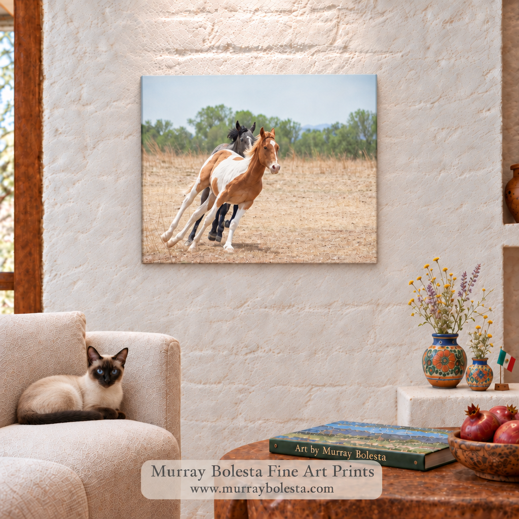 Frisky ranch horses in S. Arizona  - art by Murray Bolesta!