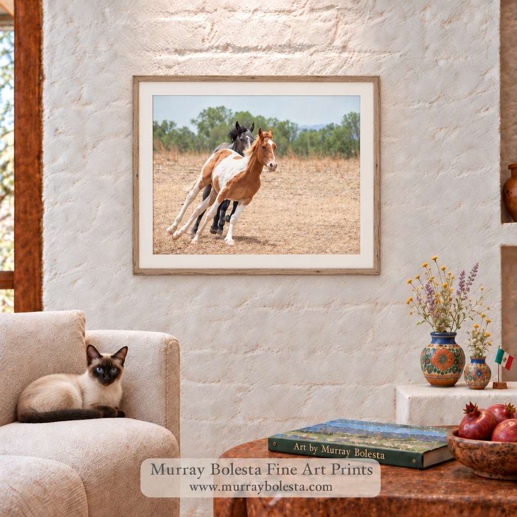 Frisky ranch horses in S. Arizona by Murray Bolesta!