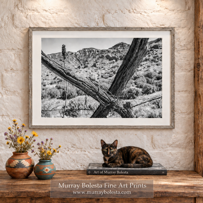 Muleshoe ranch Arizona wilderness by Murray Bolesta Fine Art Prints!