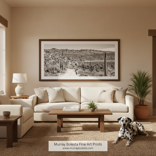 Redington Pass Print – Tucson Desert Road Panoramic Art