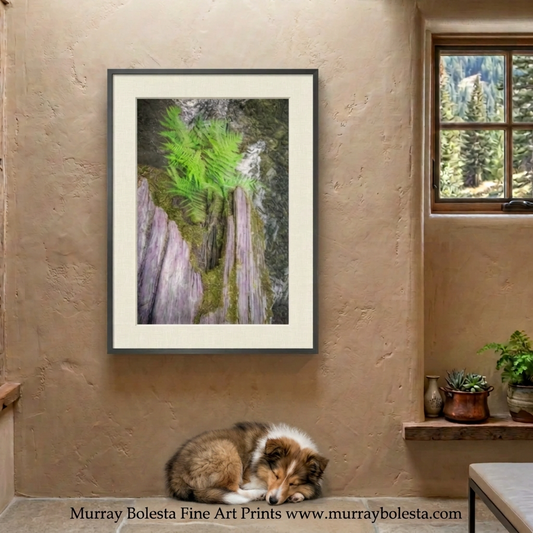 Redwood Forest creek and fern art print by Murray Bolesta in Redwood National Park California.