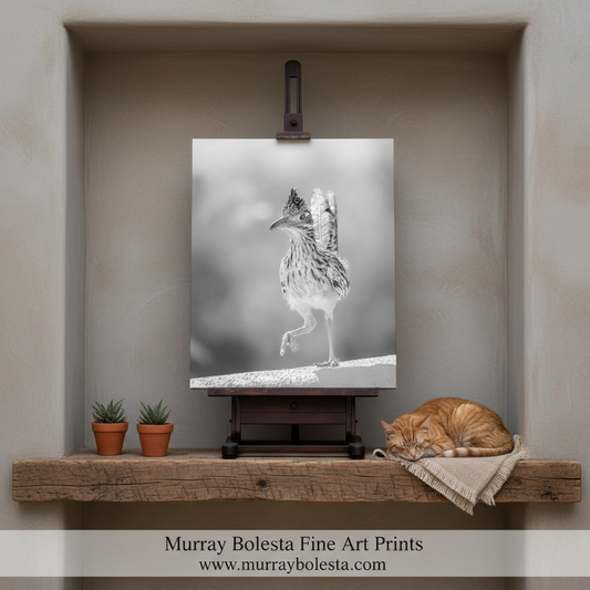 A black and white fine art print of a roadrunner displayed on a wooden easel stand on a rustic shelf, with a sleeping orange tabby cat resting on a throw blanket nearby. The background wall is a warm beige stucco, and a banner at the bottom reads 'Murray Bolesta Fine Art Prints'.