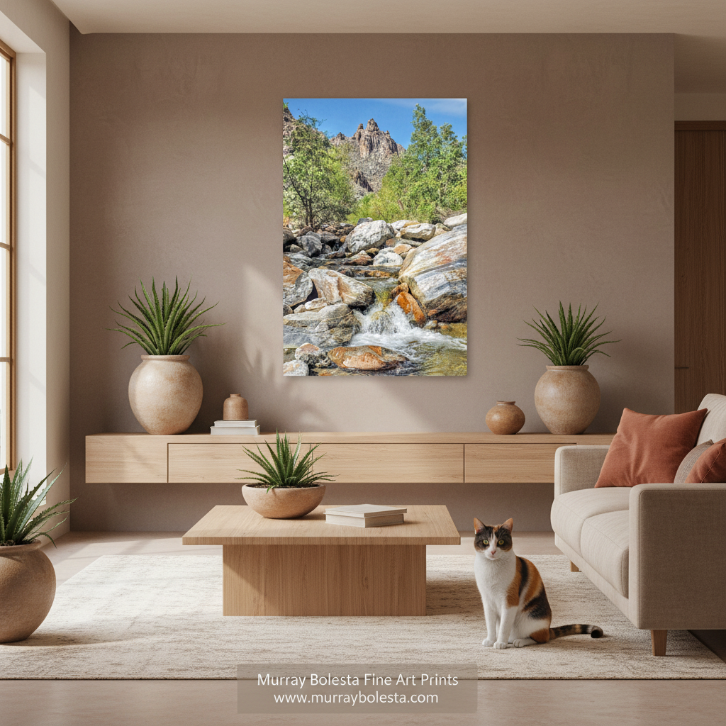 Sabino Canyon Tucson Arizona by Murray Bolesta! A vertical canvas wall art print depicting a scenic mountain stream and forest landscape, displayed in a modern living room setting above a wooden console table. A calico cat is sitting on the light-colored rug in the foreground.