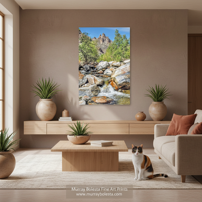Sabino Canyon Tucson Arizona by Murray Bolesta! A vertical canvas wall art print depicting a scenic mountain stream and forest landscape, displayed in a modern living room setting above a wooden console table. A calico cat is sitting on the light-colored rug in the foreground.