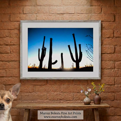Arizona saguaro cactus sunset by Murray Bolesta
