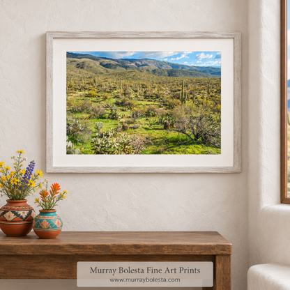 Saguaro National Park Tucson Arizona landscape art by Murray Bolesta in Spring!