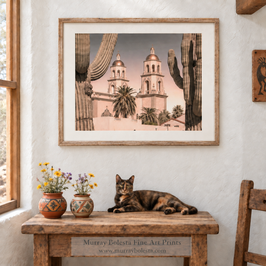 Saint Augustine Cathedral Tucson Arizona Art Print by Murray Bolesta.