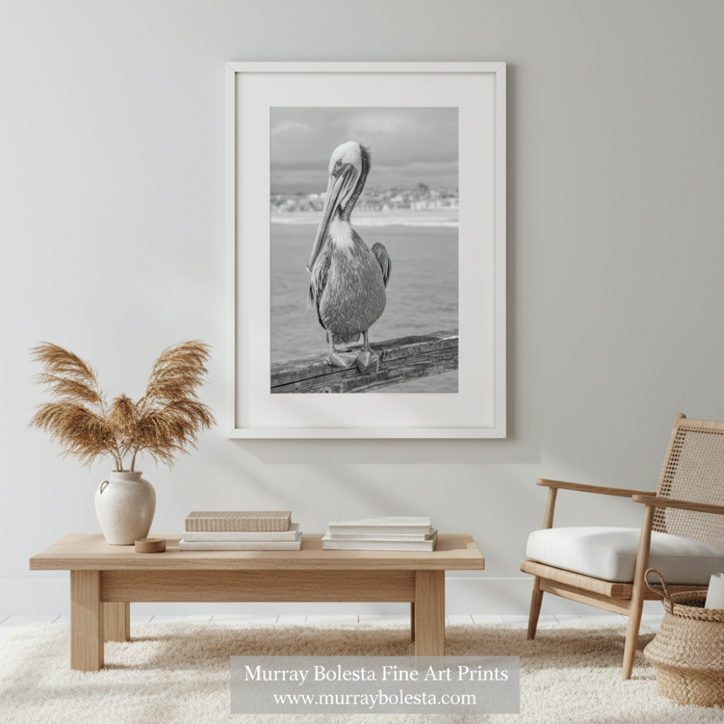 A framed black and white fine art print of a pelican standing on a log by the water, displayed on a light gray wall in a styled living room setting with a wooden coffee table, pampas grass, books, and a woven chair. San Diego sea pelican by Murray Bolesta