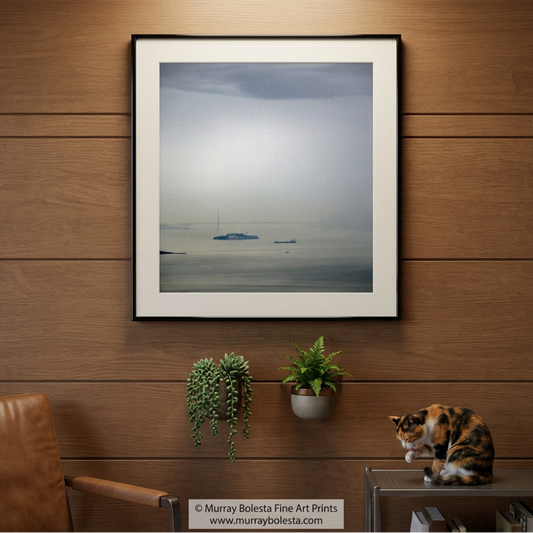 San Francisco Bay fog by Murray Bolesta