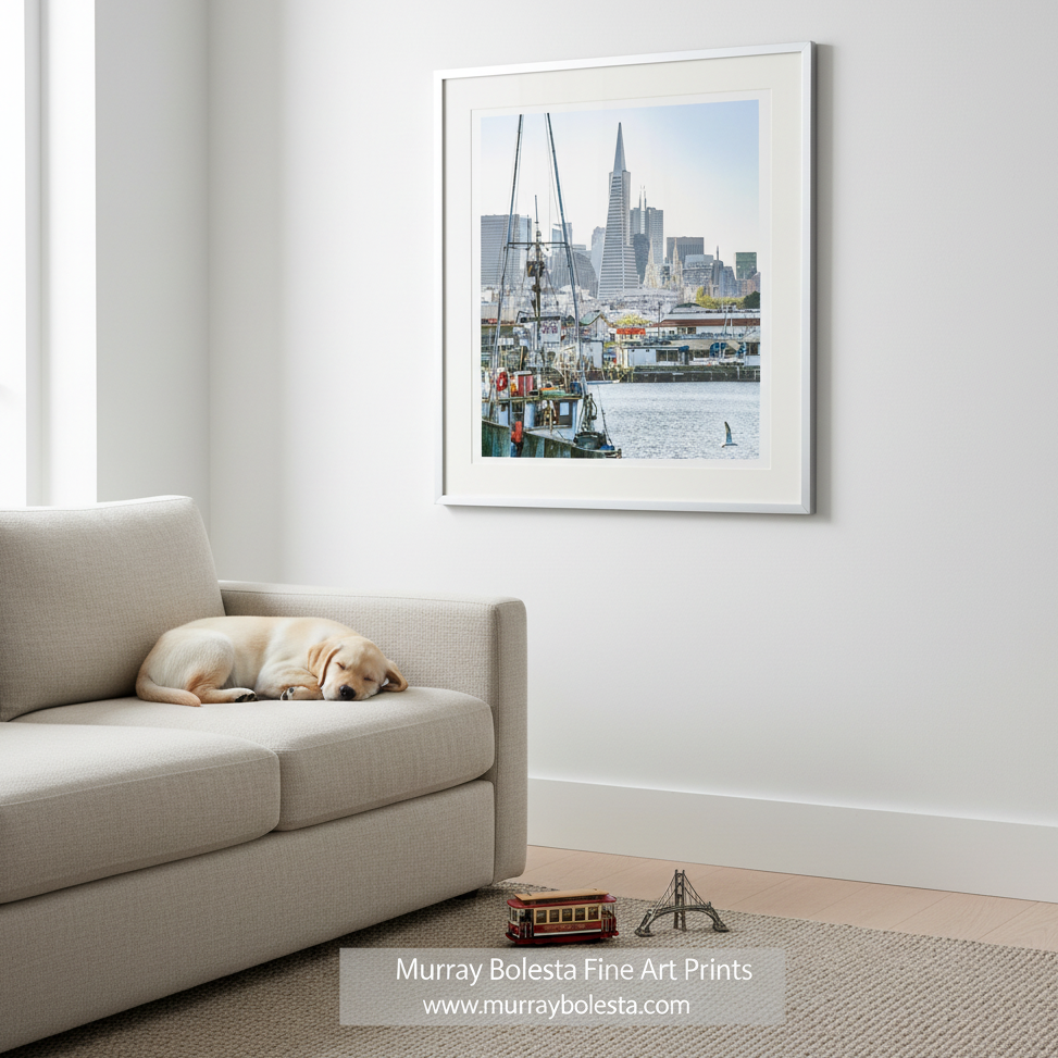 A framed art print of a San Francisco harbor scene with boats and the Transamerica Square tower, displayed on a white wall above a beige sofa with a sleeping dog. By Murray Bolesta!