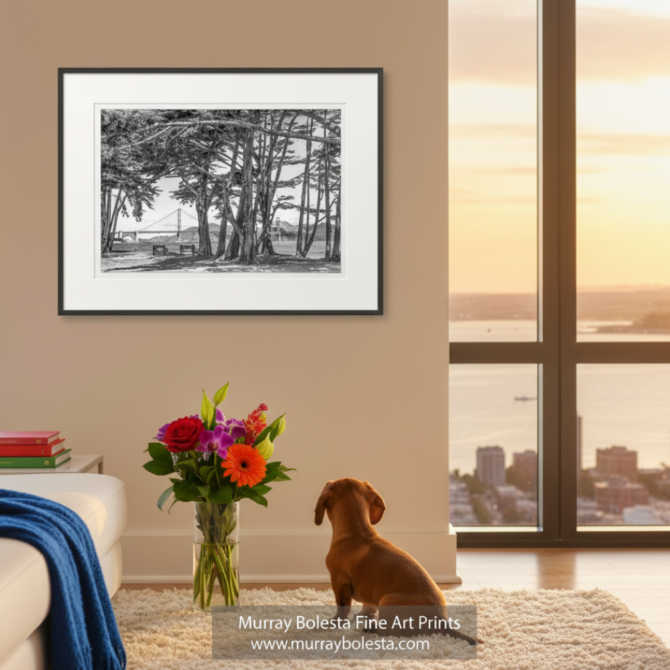 A black and white photograph depicting a park with a bridge in the background, surrounded by trees. Presidio San Francisco Bay Art | Golden Gate Bridge in B&W by Murray Bolesta