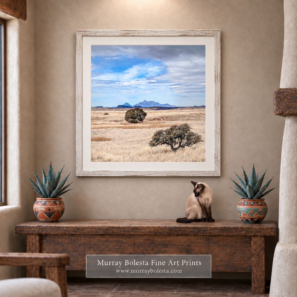 San Rafael Valley artwork by Murray Bolesta!