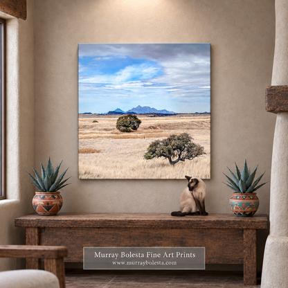 San Rafael Valley artwork by Murray Bolesta
