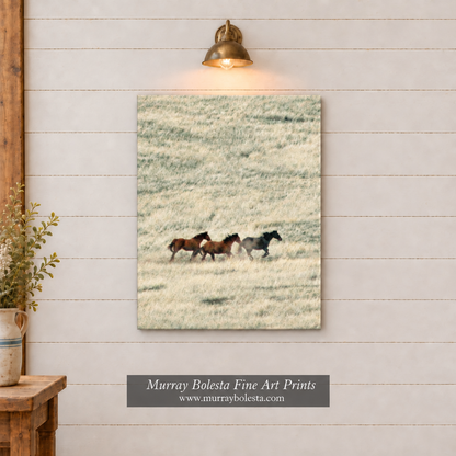 San Rafael Valley horse artwork by Murray Bolesta