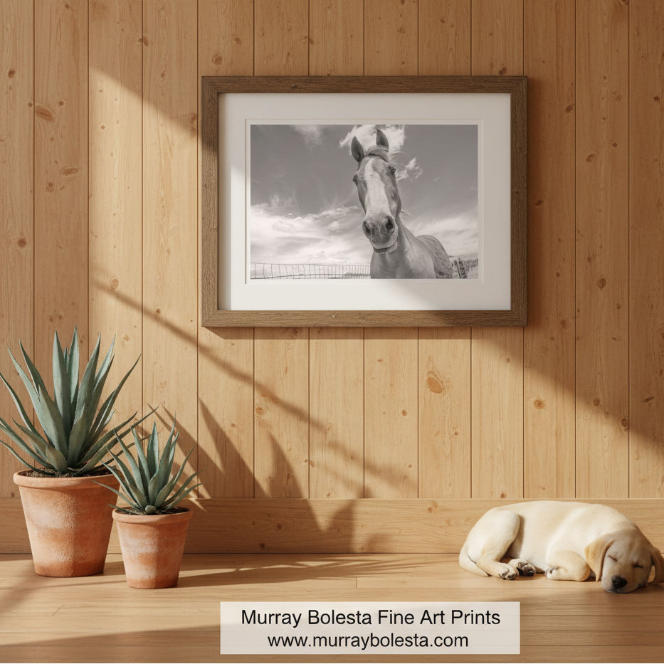 A sepia photograph of a horse standing in a field, looking directly at the camera with a cloudy sky in the background. Horse Prairie Ranch Landscape | San Rafael Valley Equestrian Art by Murray Bolesta!